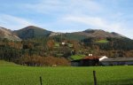 IMG_5652.jpg