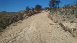 DSC_0242.JPG