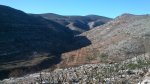 DSC_0243.JPG