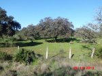 CIMG_0671.JPG