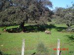 CIMG_0669.JPG