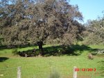 CIMG_0672.JPG