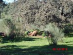 CIMG_0670.JPG