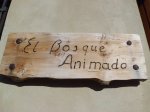 CIMG3826 (Copiar).JPG