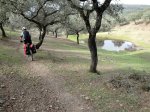 Camino1 135.1.jpg