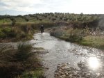 Camino1 179.1.jpg