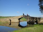 Camino1 268.1.jpg