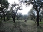 Camino1 330.1.jpg