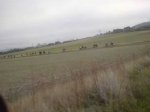 IMG-20121223-WA0028.jpg