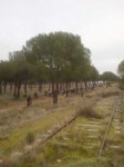 IMG-20121223-WA0027.jpg