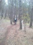 IMG-20121223-WA0024.jpg