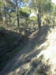 IMG-20121223-WA0009.jpg