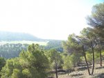 100_4294.JPG