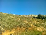 IMG-20121223-WA0015.jpg