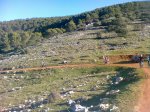 IMG-20121223-WA0052.jpg