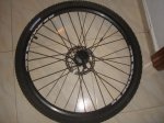 DSC05667.JPG