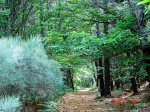 7914-san-martin-de-trevejo-por-o-campu.jpg