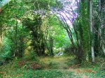 7919-san-martin-de-trevejo-de-merenda.jpg