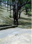 el hierro cucho. 3.jpg