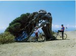 el hierro cucho. 14.jpg