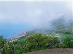 el hierro cucho. 16.jpg