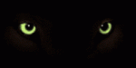 av-10201.gif