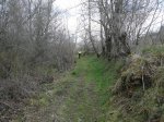 P1020123.jpg