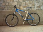 Mi bici.JPG