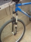 Mi Bici 4.JPG