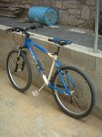 Mi Bici 2.JPG