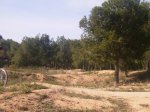 Una maravilla de sitio.jpg