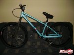 pbpic1186145.jpg
