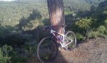 IMAG0210.jpg