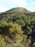 DSC09529 (Copiar).JPG