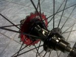 IMG01895-20121225-1256.jpg