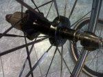 IMG01900-20121225-1305.jpg