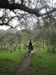 Camino1 376.1.jpg