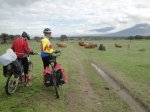 Camino1 402.1.jpg