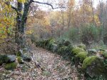 Camino1 424.1.jpg