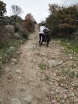 Camino1 431.1.jpg