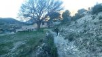 DSC_0117.jpg