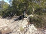 20121226_102252 [800x600].jpg