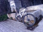 DSC07454.JPG