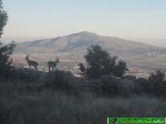 foromtb-latrialera1.jpg
