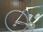 IMG_20121112_102338.jpg