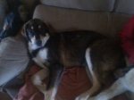 IMG-20121222-WA0001.jpg