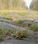 rbx12rp-01cobbles.jpg