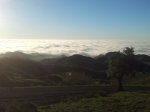 niebla1.jpg