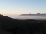 niebla3.jpg