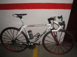 DSC04790.jpg
